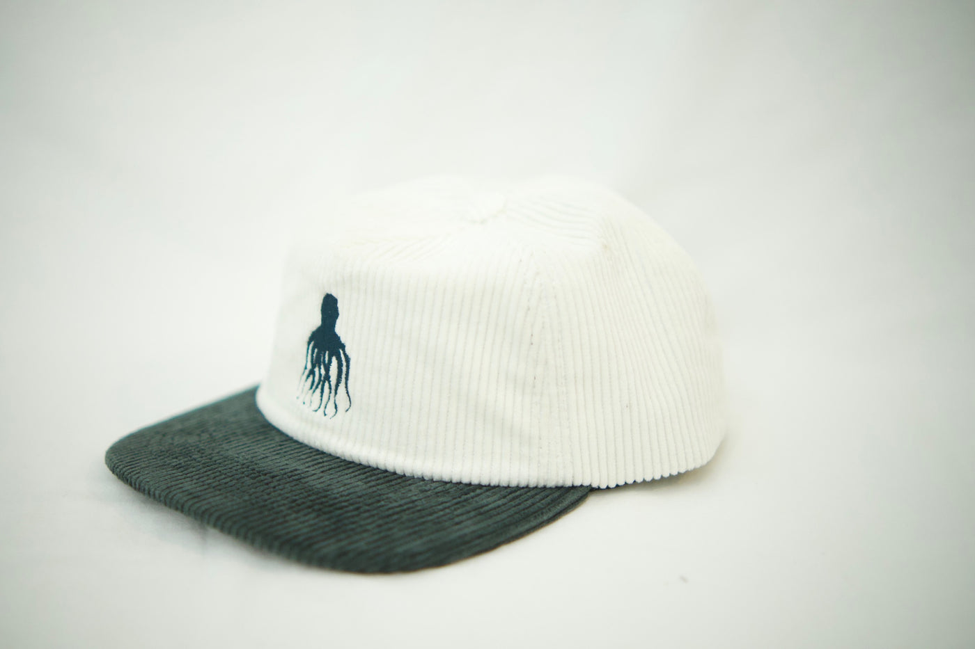 Corduroy Flat Brim Hats